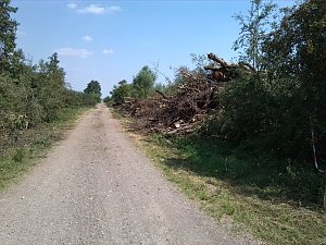 Fahrrad-Exkursion entlang Zorge und Helme