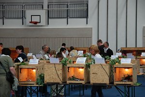 Welt der Reptilien in der Wiedingsburghalle