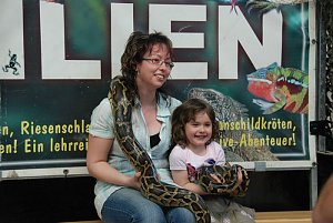 Welt der Reptilien in der Wiedingsburghalle