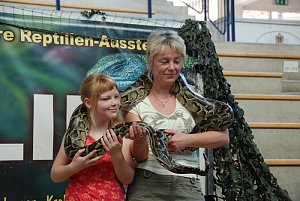 Welt der Reptilien in der Wiedingsburghalle