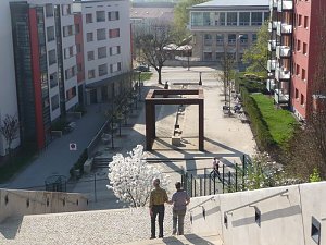 Oben auf dem Berg