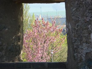 Oben auf dem Berg