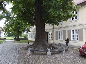 Peter Blei unterwegs: Stadt und Schloss Zerbst