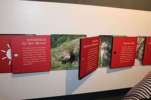 Heimliche Nachbarn gezeigt