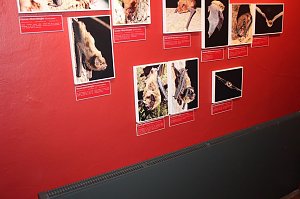 Heimliche Nachbarn gezeigt