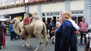 23. Mittelalterfest in Bad Langensalza