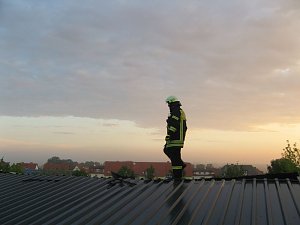 Alte Lagerhalle bannte
