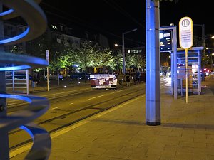 N&auml;chtliche NPD-Demo