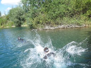 Trauung unter Wasser