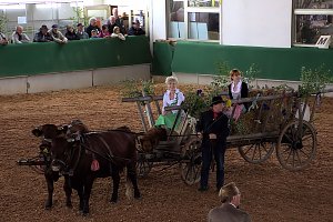 Archeschau auf der Forstfarm