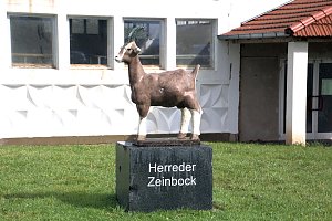 Archeschau auf der Forstfarm