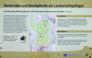 Peter Blei unterwegs in der Heide