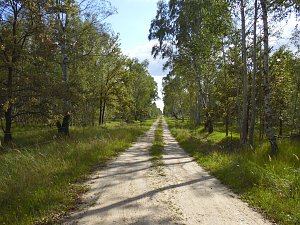 Peter Blei unterwegs in der Heide