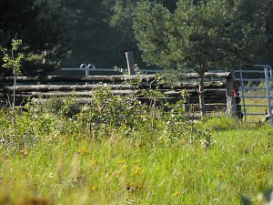 Peter Blei unterwegs in der Heide