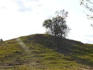 Peter Blei unterwegs in der Heide