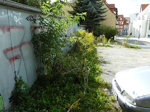 Weiterer Schandfleck in Nordhausen