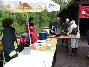 10. Blutbuchenfest