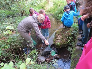 Wissenswertes rund ums Wasser erfuhren die Grundsch&uuml;ler Niedersachswerfens am M&uuml;hlberg
