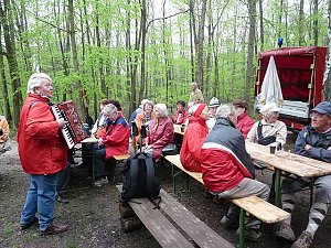 10. Blutbuchenfest