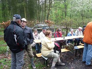 10. Blutbuchenfest