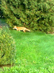 Zu Gast in Werna