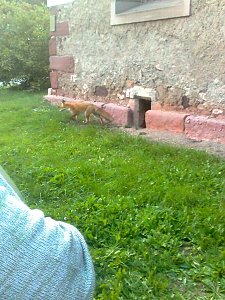 Zu Gast in Werna
