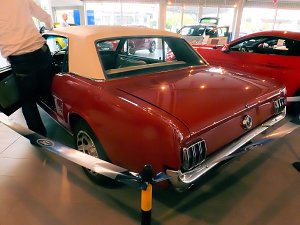 Der Mustang in Nordhausen