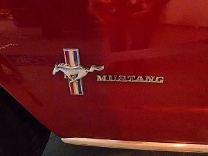 Der Mustang in Nordhausen