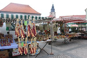 Pflanzenmarkt gestartet