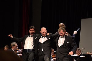 Theaterfest 2015