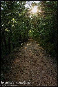 Auf dem Kyffh&auml;user unterwegs