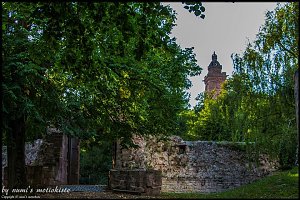 Auf dem Kyffh&auml;user unterwegs