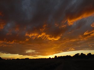 Natuschauspiel