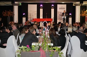 20 Jahre S&uuml;dharz-Galerie