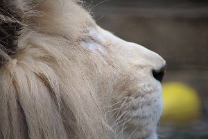 Peter Blei unterwegs: Der Zoo in Aschersleben