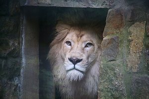 Peter Blei unterwegs: Der Zoo in Aschersleben