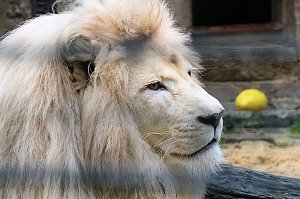 Peter Blei unterwegs: Der Zoo in Aschersleben