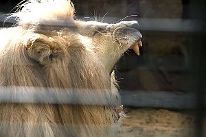 Peter Blei unterwegs: Der Zoo in Aschersleben