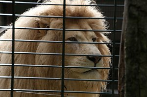 Peter Blei unterwegs: Der Zoo in Aschersleben