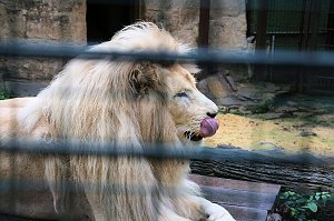Peter Blei unterwegs: Der Zoo in Aschersleben