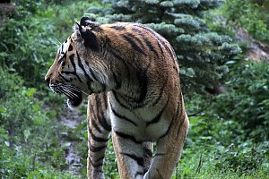 Peter Blei unterwegs: Der Zoo in Aschersleben