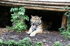 Peter Blei unterwegs: Der Zoo in Aschersleben