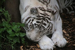 Peter Blei unterwegs: Der Zoo in Aschersleben