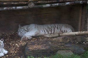 Peter Blei unterwegs: Der Zoo in Aschersleben