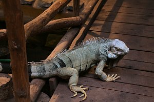 Peter Blei unterwegs: Der Zoo in Aschersleben