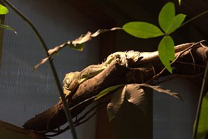 Peter Blei unterwegs: Der Zoo in Aschersleben