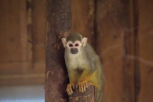 Peter Blei unterwegs: Der Zoo in Aschersleben