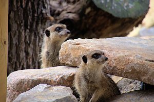 Peter Blei unterwegs: Der Zoo in Aschersleben