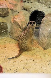 Peter Blei unterwegs: Der Zoo in Aschersleben