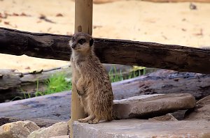 Peter Blei unterwegs: Der Zoo in Aschersleben